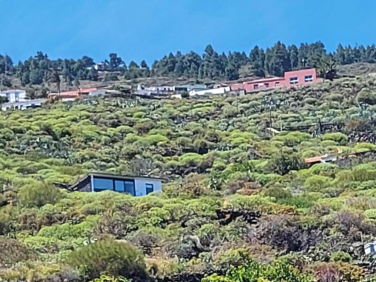 פואנקאליינטה דה לה פלמה Bungalowmirador מראה חיצוני תמונה